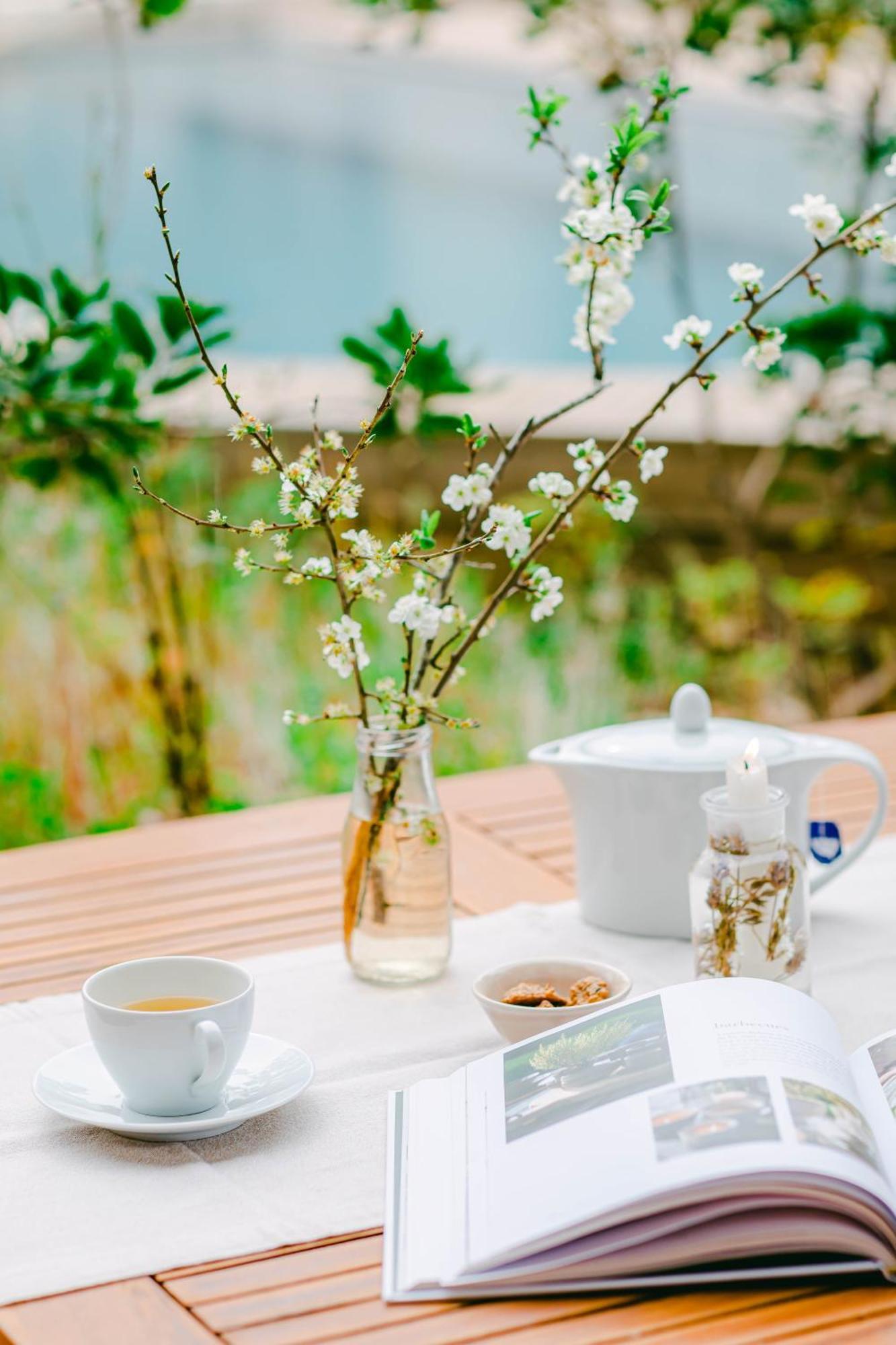 The Nest By Cooking And Nature Alvados Extérieur photo